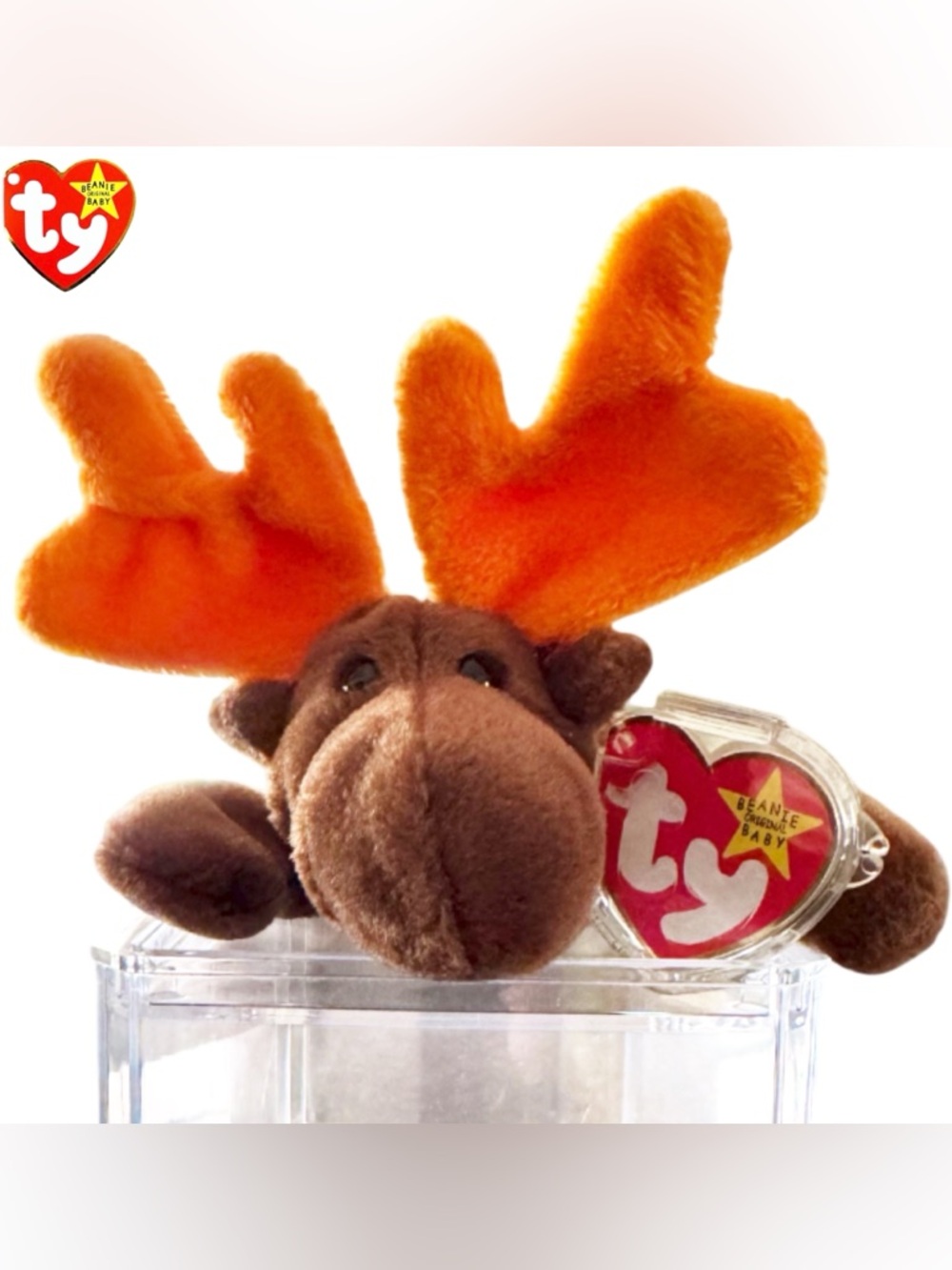 MWMT RARE 4G/3G w/ERRORS‼️ Ty Beanie Baby, Chocolate the Moose 1993, NMWMT